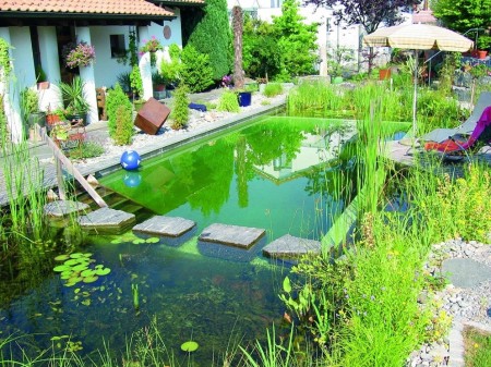 Piscina naturala cu un design modern. Iazurile de filtrare a apei au si un deosebit rol decorativ.