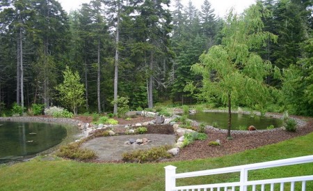 Piscine naturale