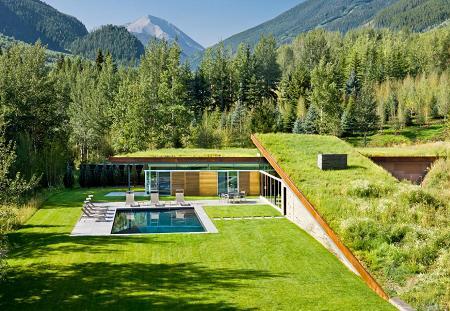O curte si o casa acoperite cu iarba verde