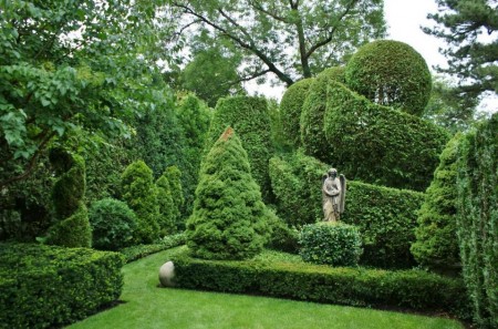 Arta topiara, arta sculpturii in plante