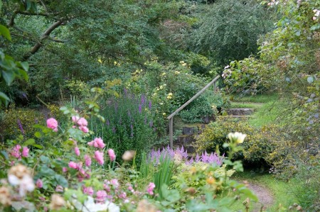 Whatton Gardens