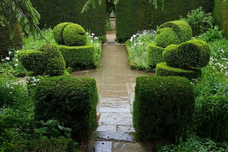 Arta topiara in White Garden, Hidcote Manor Garden