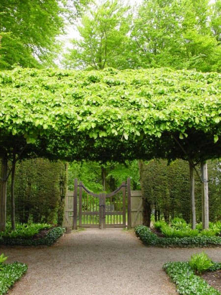 Hidcote Manor Garden