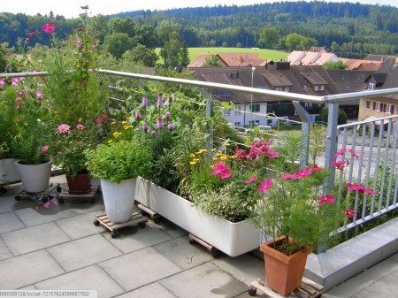 Gradina cu flori pe balcon