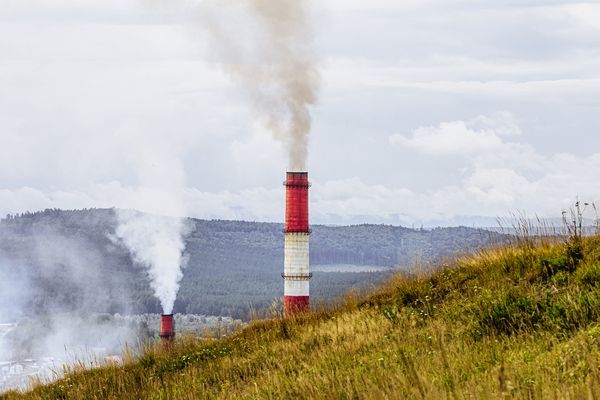 Ce este auditul de mediu si de ce este important in orice business?