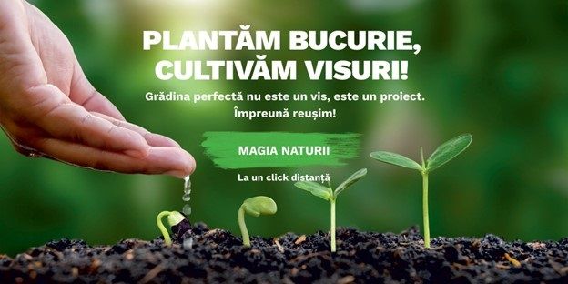 Autonomie prin gradinarit - cultiva-ti hrana, asigura-ti viitorul