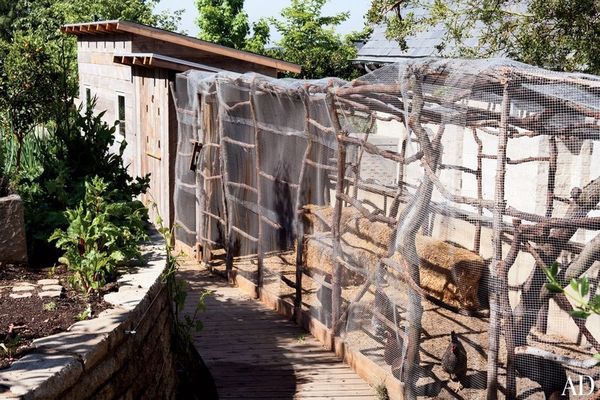 Cotet rustic pentru pasari