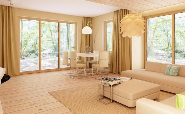 Casa cu mansarda partial placata cu piatra -interior