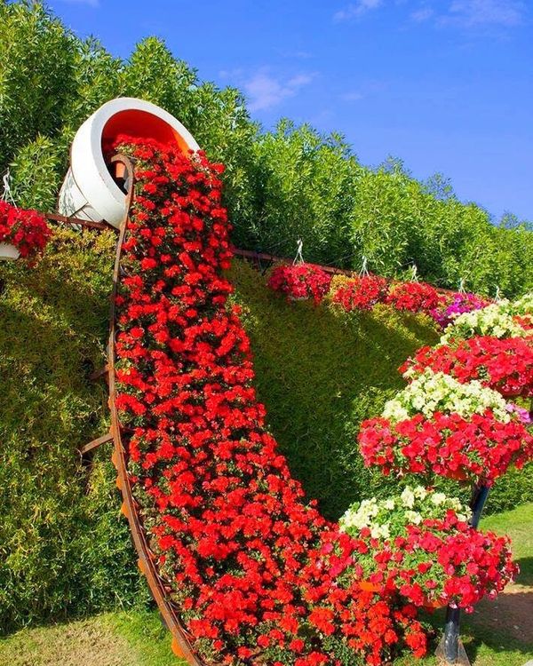 Ghiveci Rasturnat Cu Flori Curgatoare O Idee Spectaculoasa De