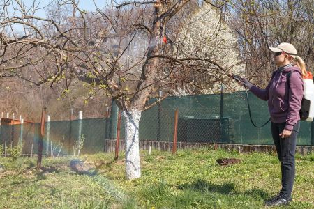 Tratamentele cu cupru in livada: ce s-a schimbat in 2026 si ce mai functioneaza