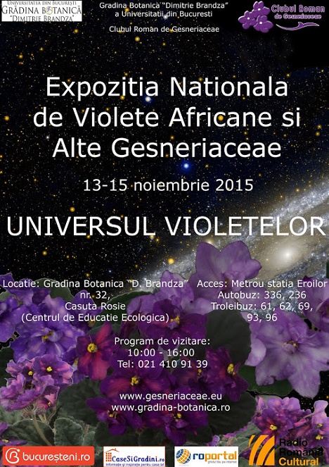 Expozitie Nationala de Violete Africane si alte Gesneriaceae Noiembrie 2015