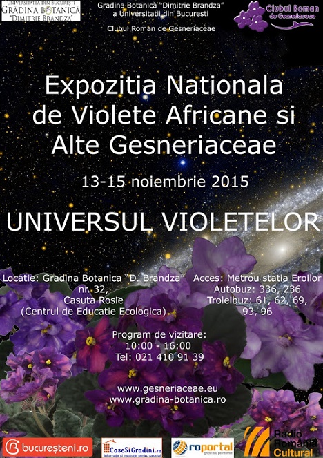 Te invitam in universul violetelor!