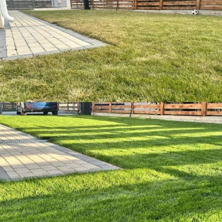 Gazon verde si des fara chimicale - ghidul complet al fertilizarii organice