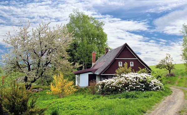 Lucrurile care nu trebuie sa lipseasca dintr-o gradina de nota 10