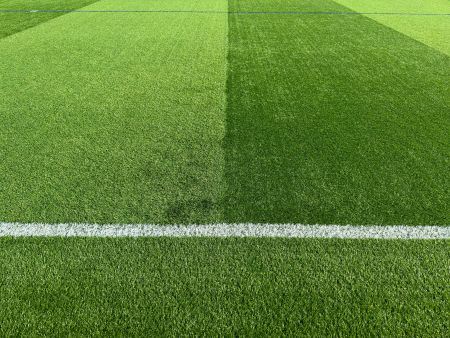 Cum creste iarba pe stadioane: lectii pentru o peluza obisnuita