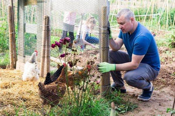 Afla cum iti poti ingriji animalele din gospodarie - 3 sfaturi pentru a le asigura un mediu propice