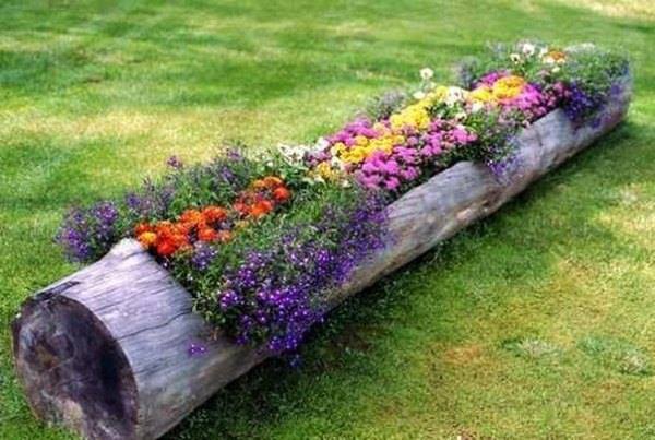 Jardiniera flori in trunchi de copac