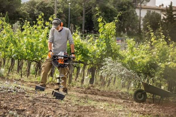 Doua motoburghie de pamant STIHL - generatie noua de echipamente pentru plantarea de toamna a copacilor