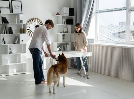 Organizarea casei si a balconului: cum sa obtii un camin ordonat si spatios