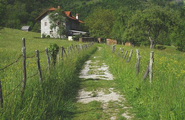 Viata la curte - 3 probleme din casa si cele mai simple rezolvari ale acestora