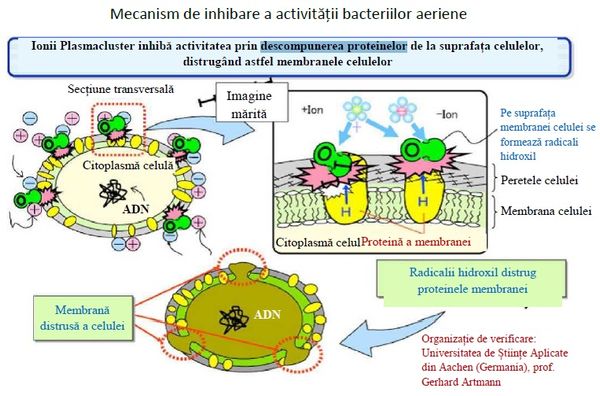 Premiera mondiala: PlasmaclusterIon - tehnologia inovatoare japoneza care inactiveaza coronavirusul