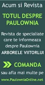 REVISTA DE SPECIALIZARE PAULOWNIA