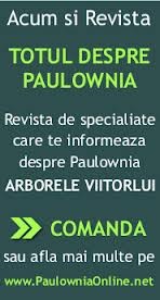 ARBORELE CU CRESTERE RAPIDA