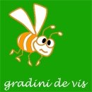 GRADINI SI SPATII VERZI - GRADINI SI SPATII VERZI