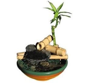 FANTANA DECORATIVA SIPOT EXUBERANTA - FANTANA DECORATIVA SIPOT EXUBERANTA
