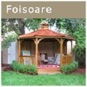 foisoare 3283