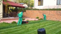 SC DECO GARDEN 2006 SRL 28299
