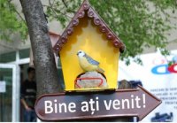 CASUTA -BINE ATI VENIT- - CASUTA -BINE ATI VENIT-