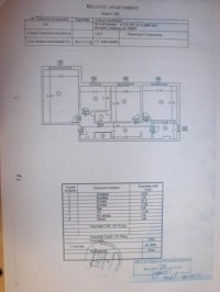 SARAH & AMO SRL 3919