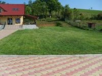 INSAMANTARE GAZON 4685 - INSAMANTARE GAZON 4685
