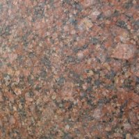 SC STROE PRESTARI SERVICII SRL 43774