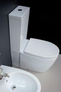 VAS WC MONOBLOC CERAMICA ESEDRA BULL FABRICAT IN ITALIA - VAS WC MONOBLOC CERAMICA ESEDRA BULL FABRICAT IN ITALIA