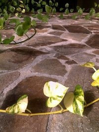 ROCAS DECOR BUCURESTI 47824