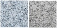 GRANIT GRI ORIENTAL 40X40X1 CM - GRANIT GRI ORIENTAL 40X40X1 CM