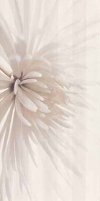 PLACI DECOR BAIE AVANGARDE INSERTO FLOWER OPOCZNO - PLACI DECOR BAIE AVANGARDE INSERTO FLOWER OPOCZNO