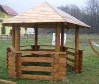 FOISOR HEXAGONAL 7832 - FOISOR HEXAGONAL 7832