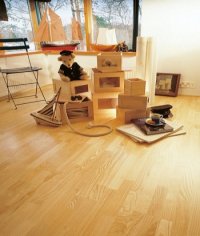 OFERTA PARCHET TRIPLUSTRATIFICAT STEJAR - OFERTA PARCHET TRIPLUSTRATIFICAT STEJAR
