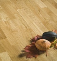 parchet de stejar clasic 60116