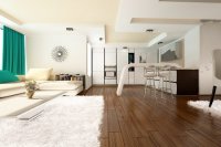 GABRIELA DESIGN INTERIOR 60635