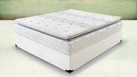 SC GIULIA CONFORT SRL 10934