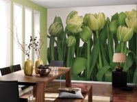 FOTOTAPET FLORAL GRADINA DE LALELE VERZI - FOTOTAPET FLORAL GRADINA DE LALELE VERZI