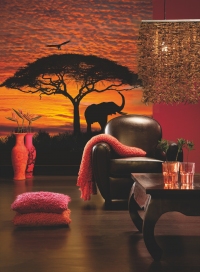 FOTOTAPET NATURA - APUS DE SOARE IN AFRICA - FOTOTAPET NATURA - APUS DE SOARE IN AFRICA