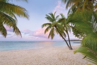 FOTOTAPET PLAJA TROPICALA DIMINEATA - FOTOTAPET PLAJA TROPICALA DIMINEATA