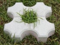 PAVAJE ECOLOGICA - PAVAJE ECOLOGICA