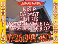 pietris 8 16 mm 46959