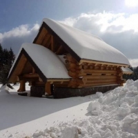 CABANE SI CASE DE VACANTA DIN LEMN ROTUND - CABANE SI CASE DE VACANTA DIN LEMN ROTUND